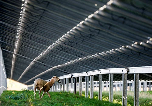 Evropa Ittifoqi Quyosh energiyasini tezlikda birinchi marta pasayadi, chunki ...
